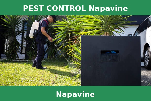 PEST CONTROL Napavine